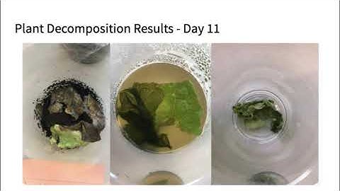 mySci 6 0 U21L4 Summary