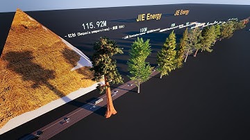 Tree Size Comparison、Tallest tree.Where