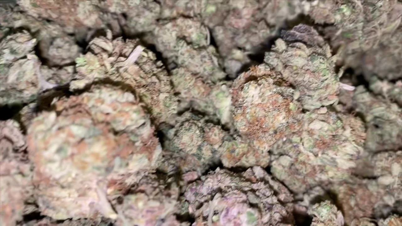 Rolling Skywalker OG Weed Strain (