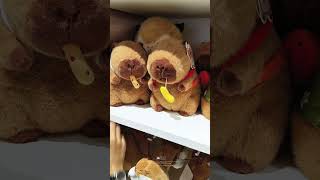 Capybara Do You Like Popsicle Or Fried Clips?