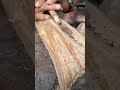 plowing wooden, the traditional art of starting a fire #firemaking #survivalfire