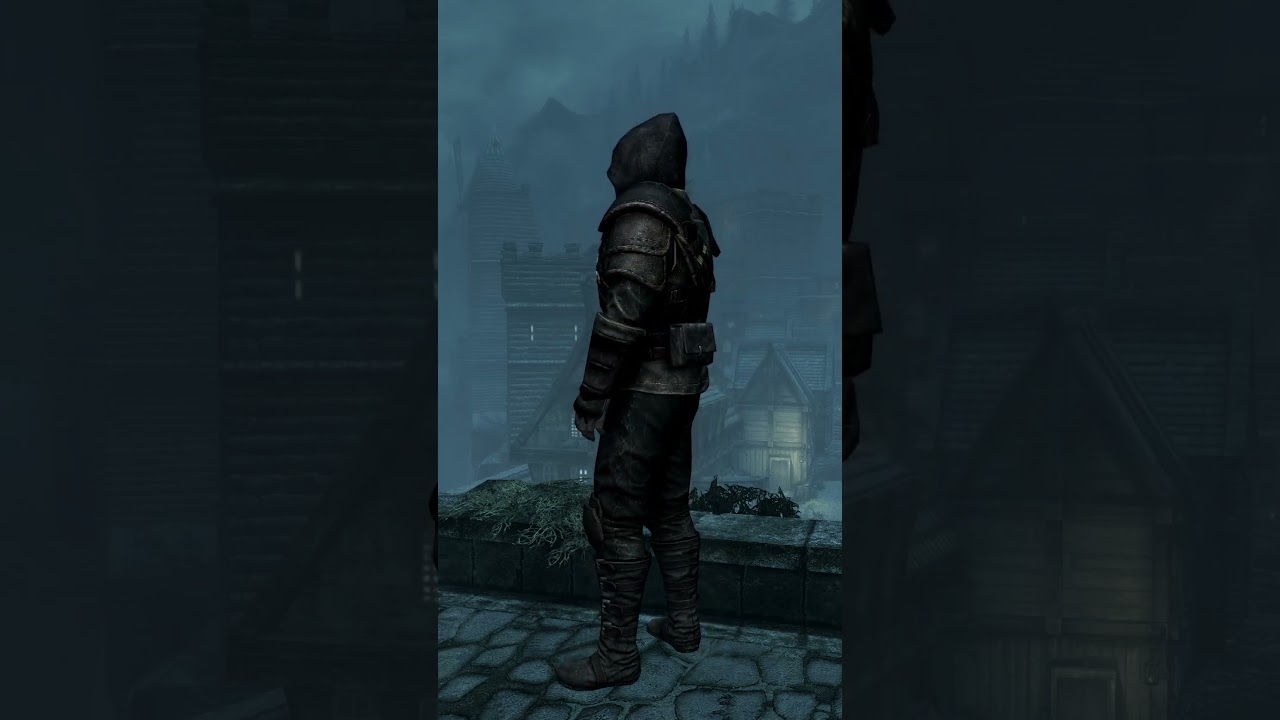 Thieves Guild Armor (SKYRIM)