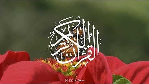 قرآن كريم بصوت ماهر المعيقلي   | حالات واتس اب دينية