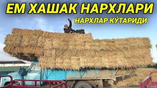 ХОРАЗМ ЕМ ХАШАК НАРХЛАРИ НАРХЛАР КУ́ТАРИЛДИ !!! ХОРАЗМ БОЗОР