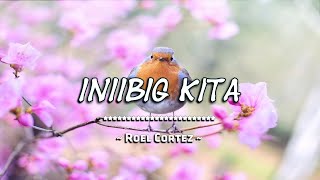 Iniibig Kita - Roel Cortez ( KARAOKE )