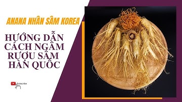 Hướng dẫn cách ngâm rượu Sâm tươi Hàn Quốc - ANaNa Nhân Sâm Korea