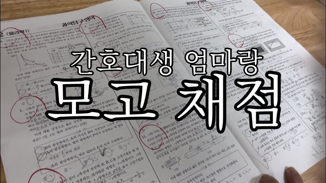 간호대생 엄마랑 모고 채점