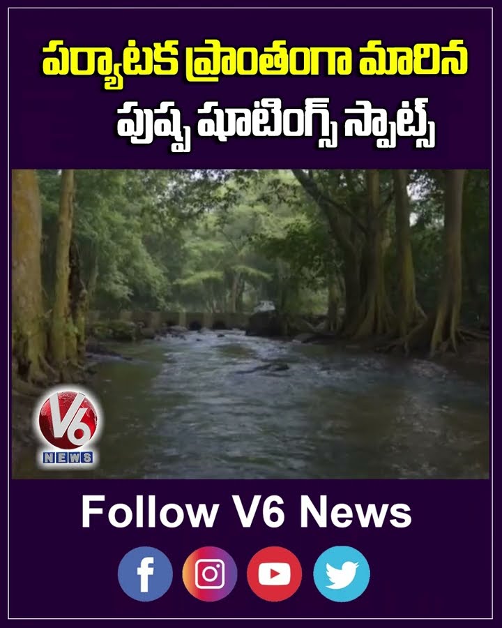 పర్యాటక ప్రాంతంగా మారిన పుష్ప షూటింగ్స్ స్పాట్స్ | Pushpa 2 | Tourist Area | V6 News