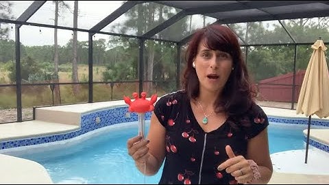 Floating Pool Thermometer Crab