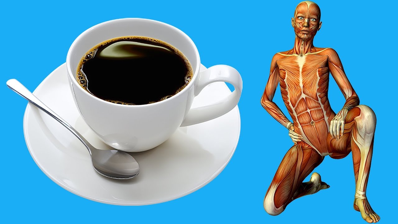 ประโยชน์กาแฟ  2022 Update  16 ลักษณะนิสัยการดื่มกาแฟที่จะช่วยให้ร่างกายคุณแข็งแรงขึ้น