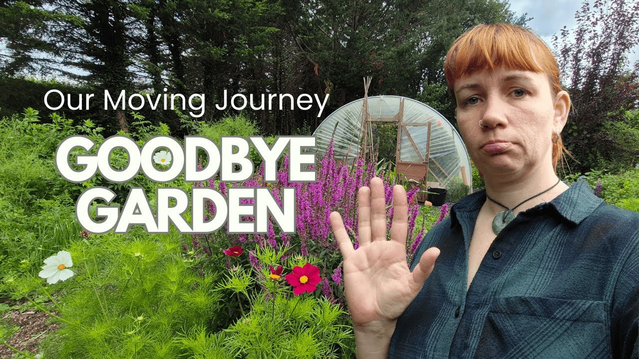 Our Moving Journey: Saying Goodbye to the Garden - What we have done so far
