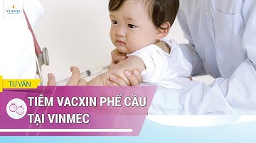 Vắc xin phế cầu có tác dụng gì?