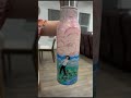 Howl’s Moving Castle Waterbottle
