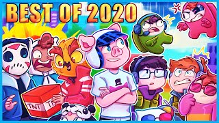 WILDCAT's BEST OF 2020! (Funniest Moments)