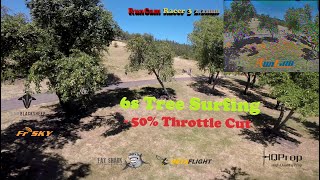 Tree Surf Lunch Pack 6s Freestyle Throttle Cut