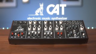 Introducing the CAT Synthesizer