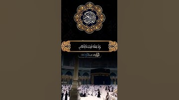 تلاوة_عذبة_تريح_السمع_والقلب🎧😴#الحج #القرآن_الكريم #اكسبلور #تلاوة_خاشعة #محمد_الفقيه #تلاوة #اليمن