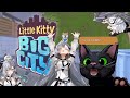 【Little Kitty, Big City】let