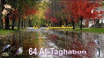64 At Taghabun سورة التغابن الشيخ مشاري راشد العفاسي