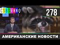 CSBSVNNQ - Американские новости #278 | Выпуск от 07.02.2020