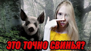 видео: ВЕДЬМА - ОБОРОТЕНЬ. Деревенская столетняя ведьма превращалась в свинью. Реальная мистическая история картинка: ВЕДЬМА - ОБОРОТЕНЬ. Деревенская столетняя ведьма превращалась в свинью. Реальная мистическая история