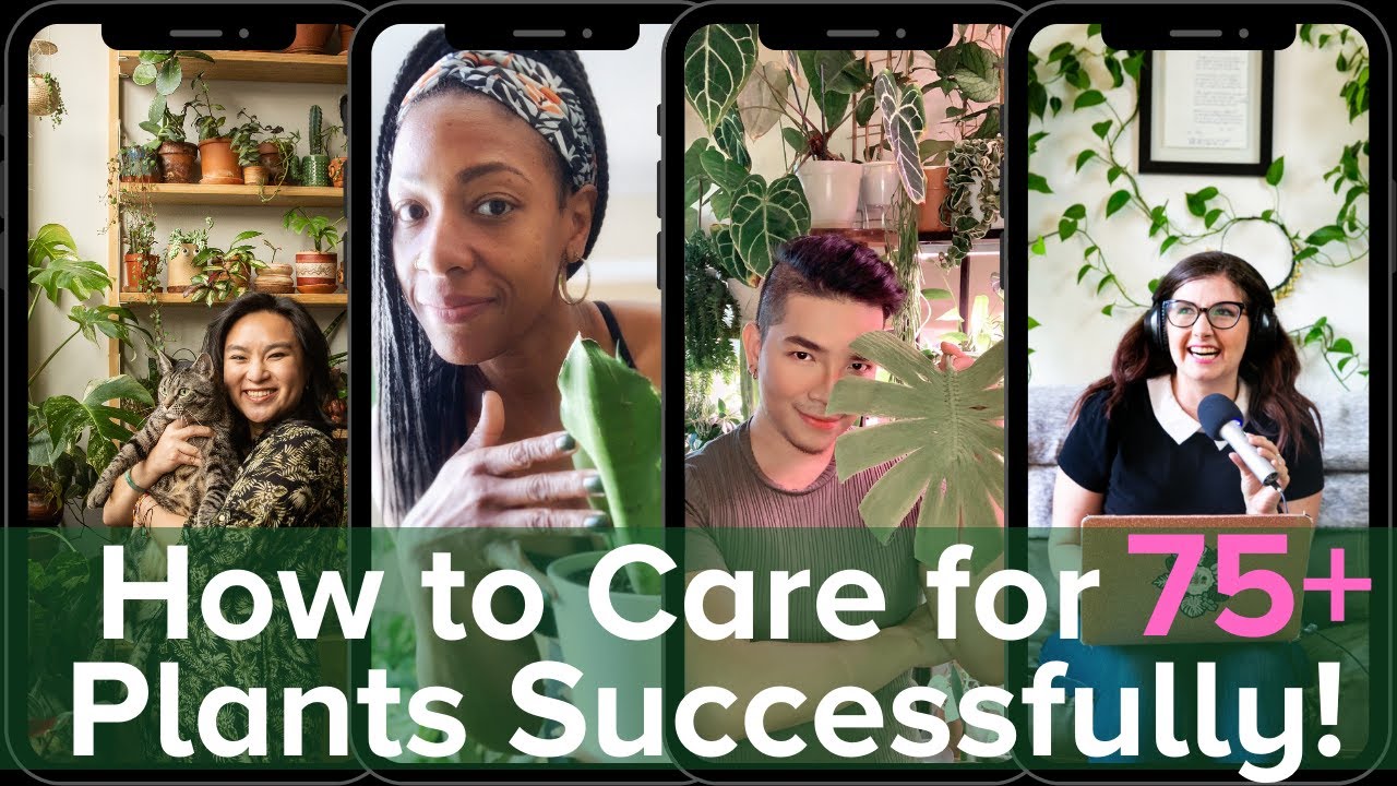 How to Care for a Large Plant Collection: 10 Tips with Cyril, Lucrecer and Phoebe