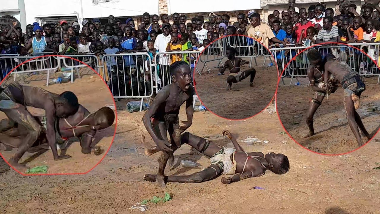 ‼️🫢Combat bou nekh entre Ada fass bèbè Diop 2🤣🤣🤣