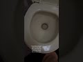 No More Tank Odors? Putting Happy Camper to the Test in Our RV