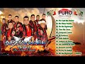 Arkangel Musical de Tierra Caliente Mix || PURO TIERRA CALIENTE - PURAS RANCHERAS PERRONAS 2023