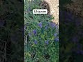 Al Quran Yaseen Quran Motivation Youtubeshorts Al Quran Yaseen Quran Motivation Youtubeshorts