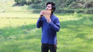 Video thumbnail of "Can't Help Falling In Love || Elvis Presley || Pan Flute Cover by Aman Mali"