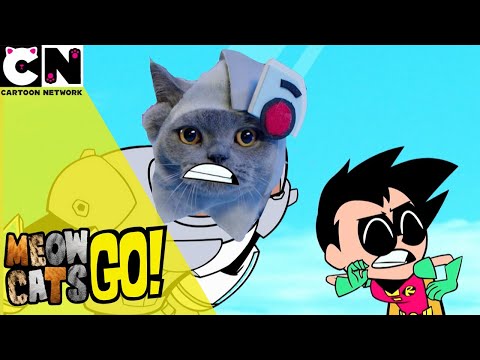 Meow Cats Go Teen Titans Go Cartoon Network UK