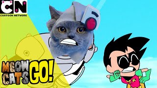 Meow Cats Go Teen Ans Go Cartoon Network Uk