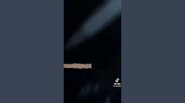 تالي الشيب الخبر 2022 