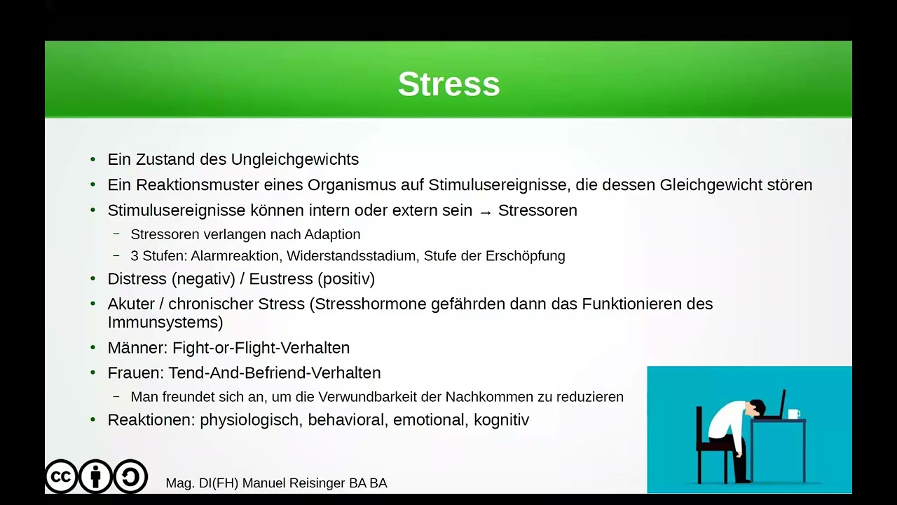 Die Stressreaktion - Ein Zusammenspiel von Hormon- und Nervensystem