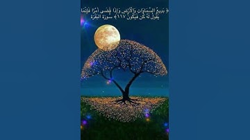 #خلفيات #دينية #سورة #البقرة #آية #117