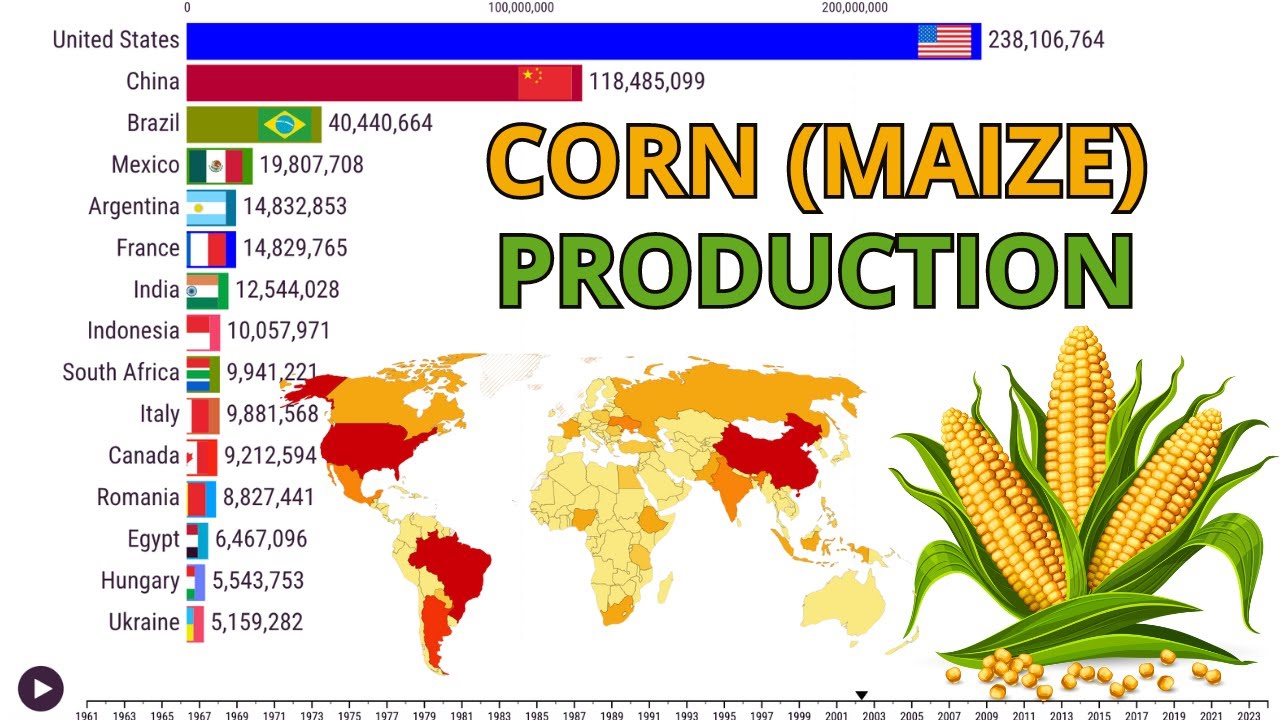 Top 15 Corn (Maize) Production Countries 1961-2024