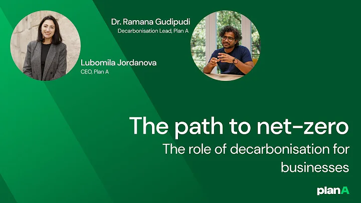 The path to net-zero: the role of decarbonisation for businesses