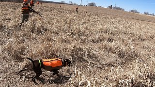 Gold Meadows Hunting Preserve 2022
