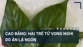 Cao Bằng: 2 trẻ tử vong nghi do ăn lá ngón | VTC Tin mới