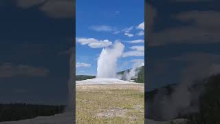 Yellowstone Park so amazing #us #yellowstone #travel #geyser