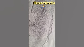 Sketching a whale #shorts #drawing #trending #viral