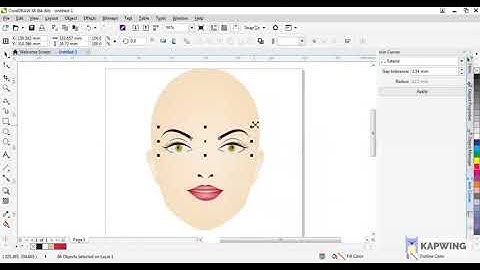 Digital Fashion Illustrations Beginners- How to Draw Face And Hairstyle(CorelDraw/Adobe Illustrator)