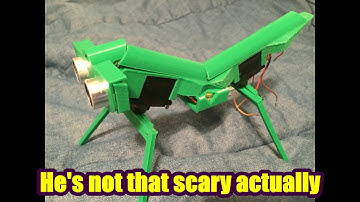 Manty Two Servo Walker