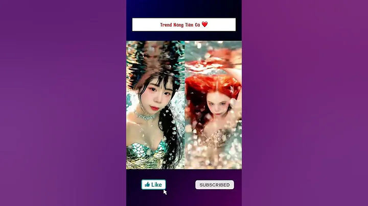 Sammy đào vs Mèo Simmy , Bạn Là Fan Của Ai Vậy …❤️ #trending #funny #simmy #sammy #shorts #tiktok