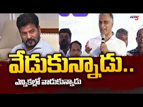 Ex Minister Harish Rao Comments On Congress GOVT | CM Revanth Reddy | Telangana Politics | TV5 News - TV5NEWS