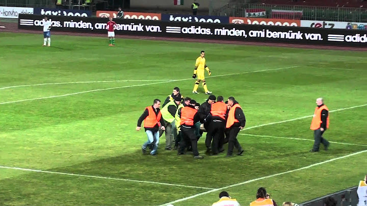 Hongaarse supporters op het veld tijdens Hongarije - Nederland (25-03-2011)