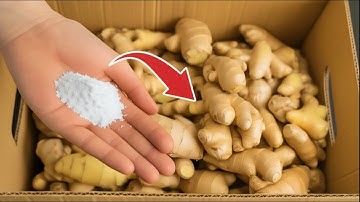 How To Store Fresh GINGER For 1 Year With This Simple Hack - No Spoilage!