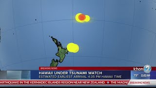11 a.m. Tsunami Watch update