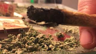 Michigan cannabis review “house of dank”